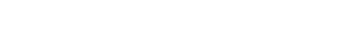 Nordic Spirit Logo logic logo